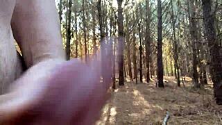 Clitlicker662 Update 23 - Img 1265 - Dec 12 2024