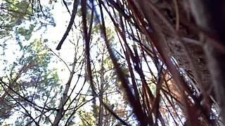 Clitlicker662 Update 23 - Img 1265 - Dec 12 2024