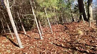 Clitlicker662 Update 23 - Img 1265 - Dec 12 2024