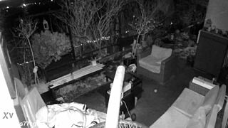 did you catch me jerking and cumming with moans on spy cam, m4rkus77cgn update 4?