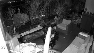 did you catch me jerking and cumming with moans on spy cam, m4rkus77cgn update 4?