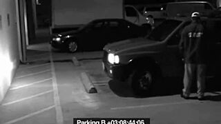 Slut Blows Guard To Avoid Fine!