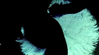 Check out vintage threesomes with hairy beavers 😍