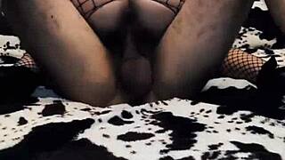 wife rides cowgirl in mesh bodysuit