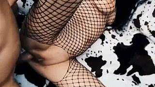 wife rides cowgirl in mesh bodysuit