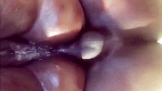 Fucking The Widow At The Wake