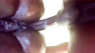 Fucking The Widow At The Wake