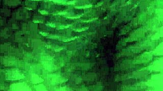 big booty wife dances and shakes her ass for amateurs