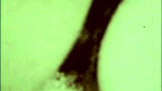 Vintage Interracial Erotic Confessions from Dark Lantern
