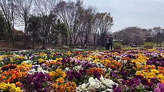 Sakura and Nacchi in Hot Japanese Springs with Steamy Babe Action