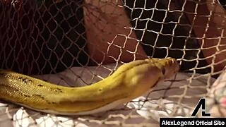 The Minotaur Legend Got Ridden By Dominating Hottie Nicole Aniston With Big Tits And Ass