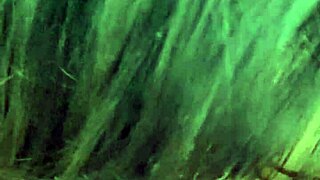 Hey, step brother, bang this tight step cousin sister now