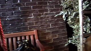 Michelle Thorne Explores Her Lesbian Side