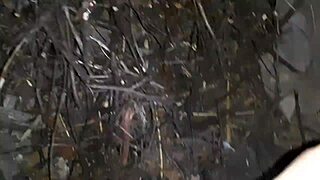 can the forester girl and i keep banging in this hut?