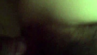 Exploring the vibrant culture and landscapes of Vietnam with its rich history