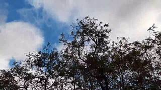 can the forester girl and i keep banging in this hut?