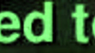 D sluts flashin while trick or treatin