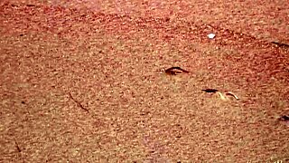 look at gorgeous teen agnes bathing her naked body in the ocean!