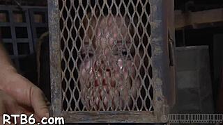 Beautiful Babe's Sweet Nipples Endure Painful Bdsm Treatment in Rough Session