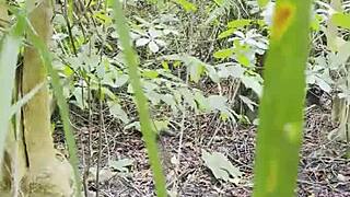 Epic king of the forest adventure with bardie part 1