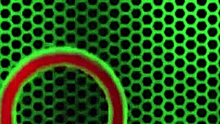 Mocha's wild ride contrasts with Rome's control