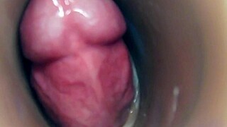 Internal Camera Pussy Fuck with Cumshot