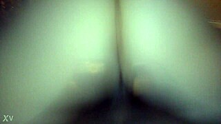 i ride in reverse cowgirl and give a interracial blowjob at home