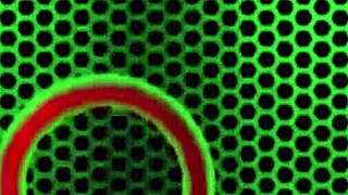 Redhead fucks bbc amerie rides rome majors during shower time