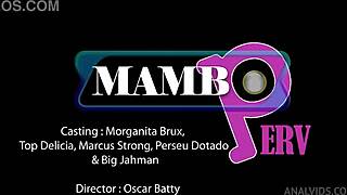 Holy Shit, 19-Year-Old Brazilian Morganita Brux Takes 4 Monster Cocks in Anal!