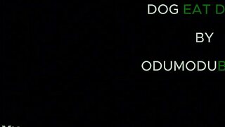 Nigerian Girls Fuck Different with Clothes Ripped! Wet Pussy Riding.