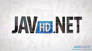 my asian hairy pussy vol 27