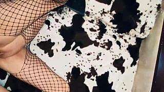 beautiful milf wife slips into stockings to lure her husband. she craves deep anal action tonight.