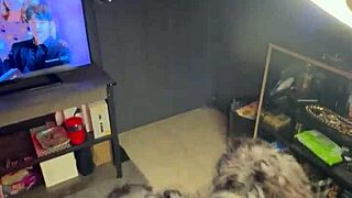 mochi g and richdapiper sharing a hot blowjob session