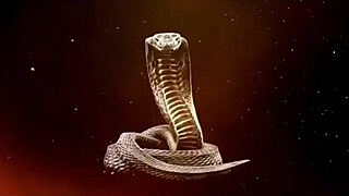 I crave your monster cock cum in my tight ass