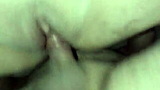 Luz de perrito close-up