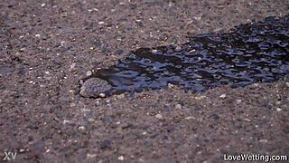 I watch Sally in this outdoor pissing scene, it's so thrilling