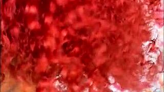 Redhead Latina obeys boyfriend's every command