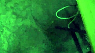 Step Bro's Cock Impresses Slut Evelyn Stone For A Blowjob