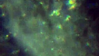 here's more of my cum, will it reach to impregnate you