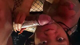 Mass Compilation Of Lace And Fishnet Sextapes