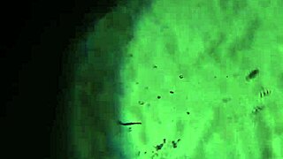 here's more of my cum, will it reach to impregnate you