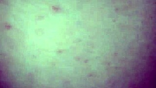 Little April Loves Dick With Young Hardcore Fucking