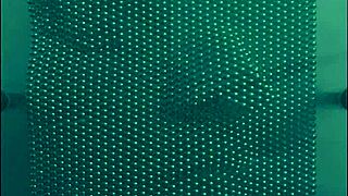 Guy Screams Harsh Noise During Pop Song In California.