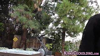 domina's special treat eaten