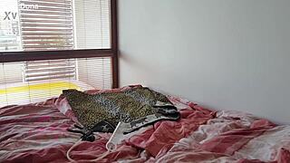 Lexidona - Pump - Home Made