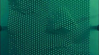 Guy Screams Harsh Noise During Pop Song In California.