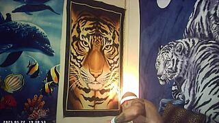 I feel the Italian pound machine as a first timer with tight pussy in behind the scenes