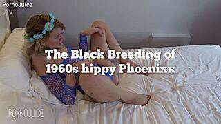 The black breeding of sexy hippy phoenixx promo