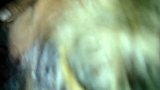 she sucks my cock in missionary at night