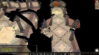 Want To Fuck While Playing Nude Neverwinter Nights?